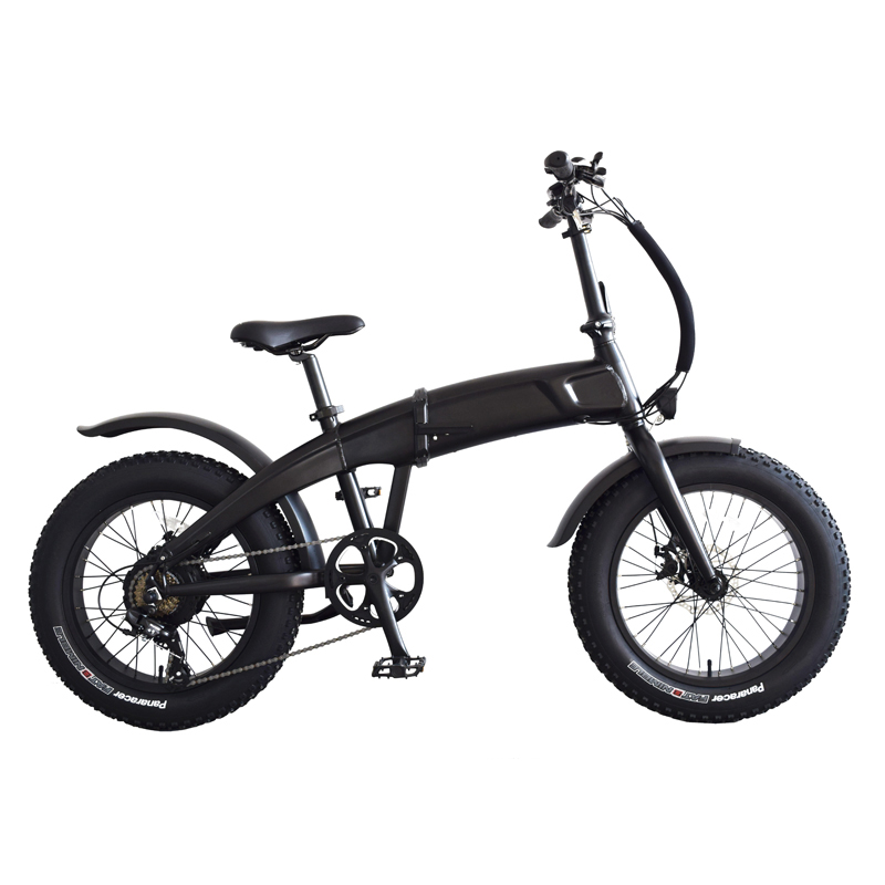 20-Inch Black Electric Bike with 48V 10.4Ah Lithium-Ion Battery and Customized Fat Tyre