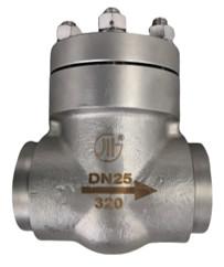 Quality Stainless Steel Cryogenic High Pressure Check Valve DN25 wholesale