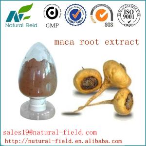 Quality maca extract wholesale