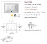 Soft Closing Seat Undermount Bathroom Basin Lavatory Vanity Sink