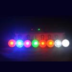 Promotional LED Lighting Dog Pendant Safety Lighting Logo Customized