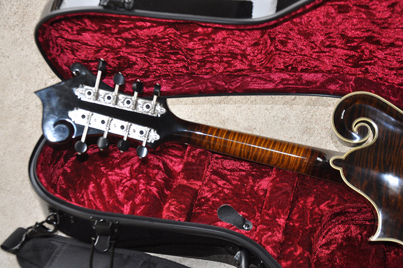Handmade custom advanced 8 strings QT-F5 mandolin electric guitar with ebony fretboard