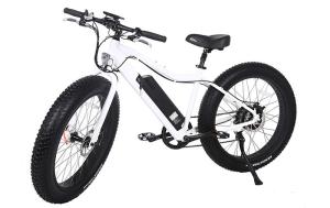 Quality 35 Miles Male Electric Bike 48V 750W Bafang Rear Brushless Motor wholesale