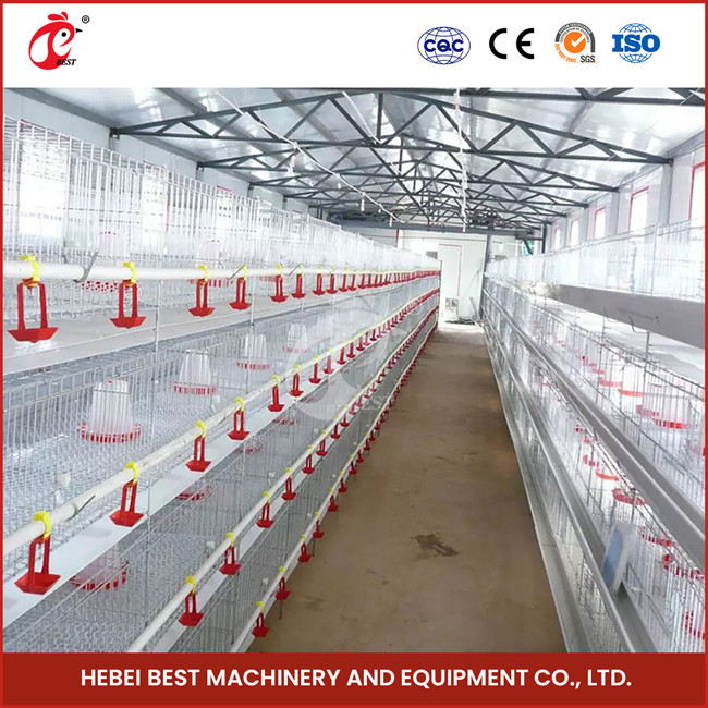 2 Doors Durable Chick Brooder Cage Automatic Feeding System Emily