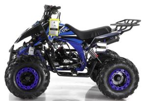 Quality Air Cooled Atv 4 Wheeler Motorcycle 125cc 1500mm Length wholesale