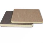 Modern Lightweight Birch Eucalyptus Plywood Sheets