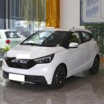 2023 Energy JMC EV3 Electric Car Sedan White/Blue Max Power 36KW Fast Speed