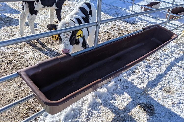 Aluminum Alloy Window and Q345 Prefab Steel Cow Farm Building for Dairy Cow House