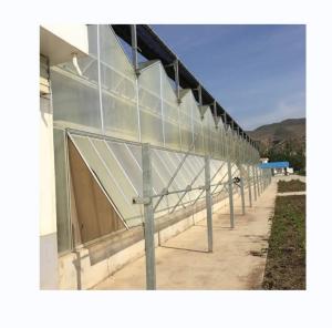 Quality Vegetable Fruits Flowers Multi Span Agricultural Greenhouses With Hydroponic Systems wholesale