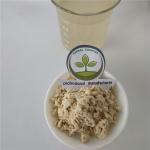 avocado powder buy best dried avocado powder health benefits supplement products