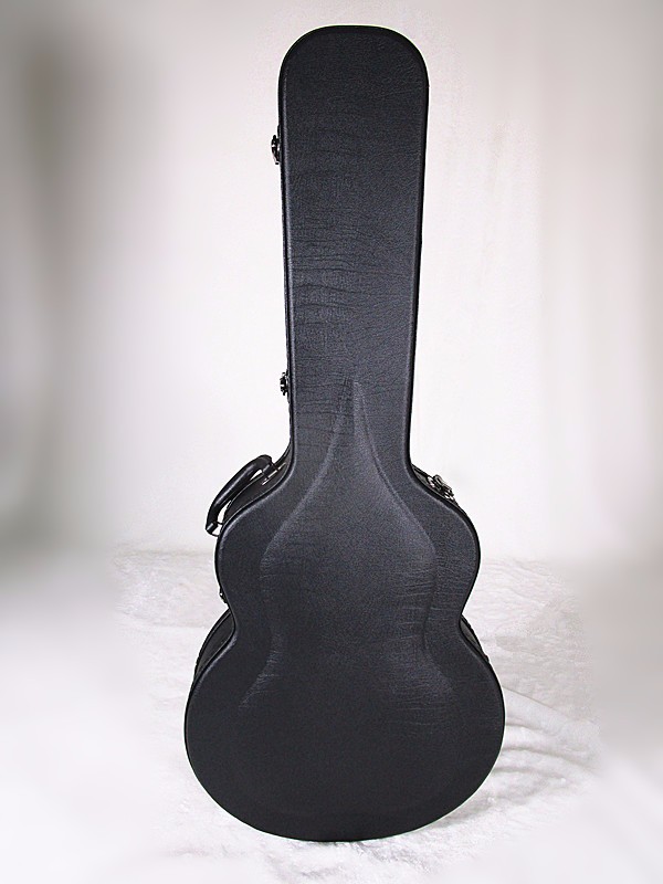 acoustic guitar hardshell case.jpg