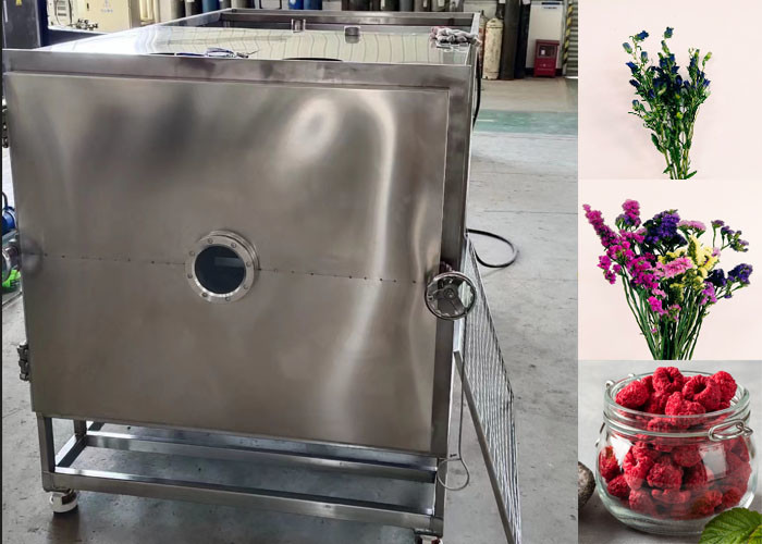 Professional Food Vacuum Freeze Dryer for Optimal Drying Results