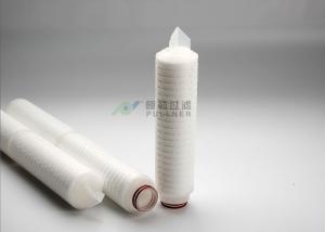 Quality Economic 0.2 Micron RO Water Filter Membrane Beverage Water Cartridge Filter PES wholesale