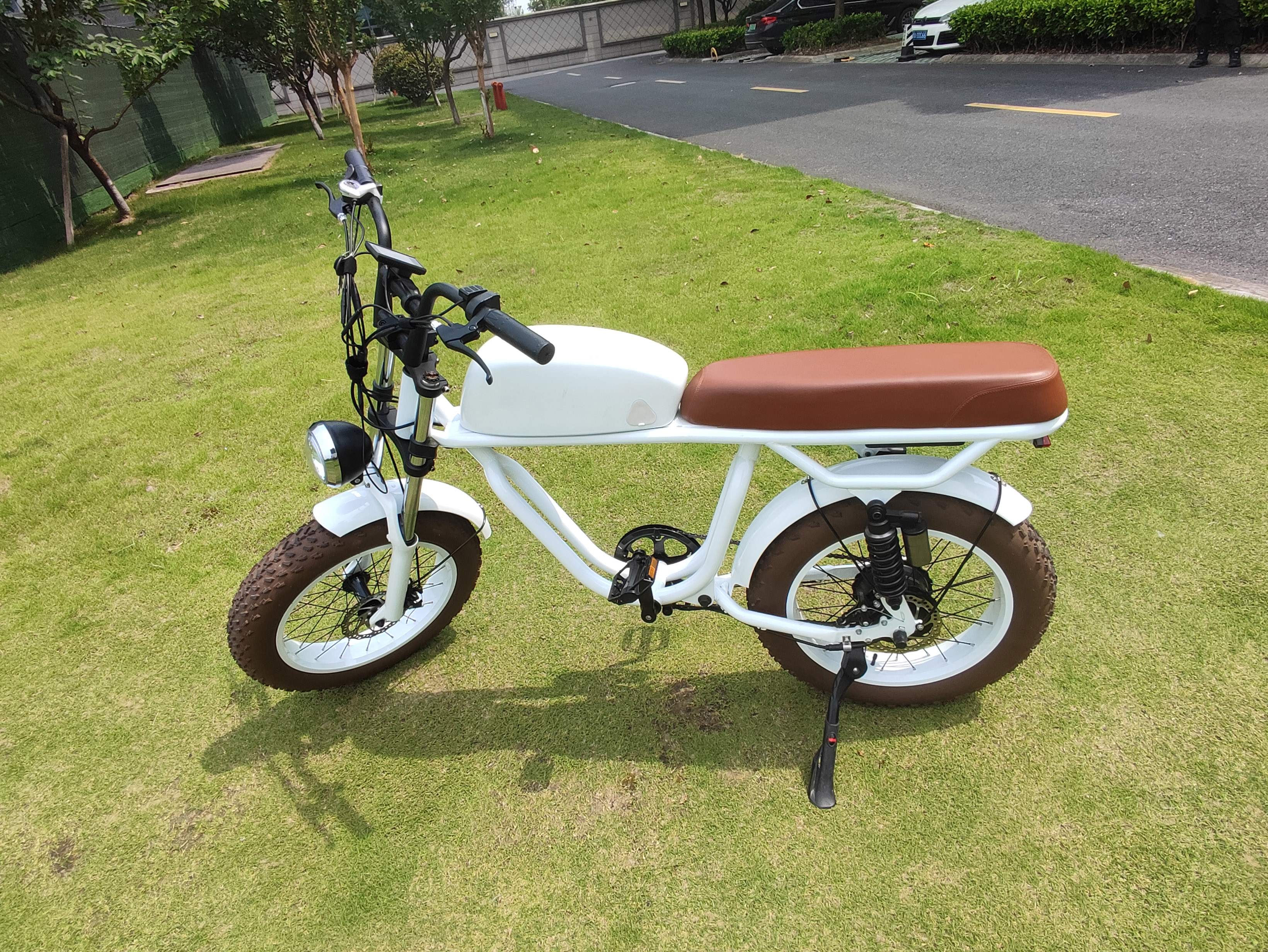 Standard Style Electric Dirt Bike High Torque of 70-80 Nm for City Cruising and More