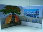 USB Port LCD Digital Video Booklet , Movie Character Promo Video Brochure
