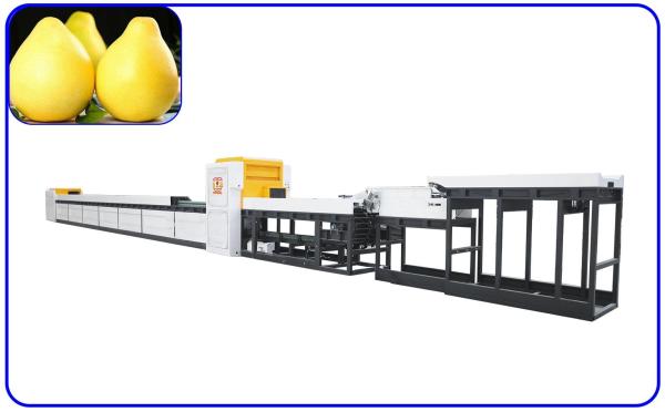 Cheap 380V Automatic Fruit Sorting And Grading Machine for sale