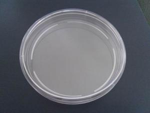 Quality Disposable Plastic Culture Dish Petri Dish 90X15mm one room wholesale