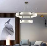 Post-modern Glass Luxury LED Pendant Lights Living Room Restaurant Parallel Ring