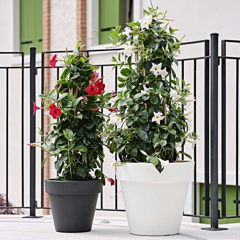 Unique Modern Fiberglass Flower Pots Glossy Finished For Indoor Outdoor Decor