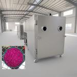 Air Cooled Food Vacuum Freeze Dryer High Efficient Refrigeration 100 Kg/Batch