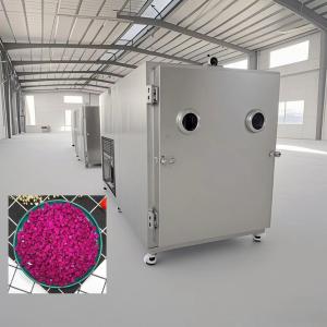 Quality Air Cooled Food Vacuum Freeze Dryer High Efficient Refrigeration 100 Kg/Batch wholesale