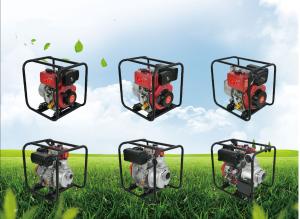 Quality 13.5L Portable Diesel Fire Pump 6.3kw Small Fire Fighting Pump wholesale