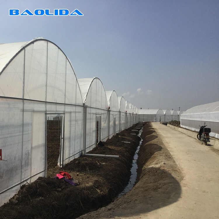 Steel Structure Polythene Tunnel 4 Mil Plastic Sheeting Greenhouse