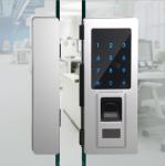 Office Entrance Glass Door Lock Four Ways To Unlock Long Battery Life Span