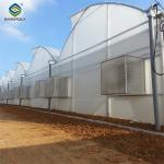 Gothic Frame Greenhouse Large Size Agricultural Multi Span Plastic Film
