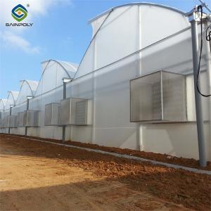 Quality Gothic Frame Greenhouse Large Size Agricultural Multi Span Plastic Film Greenhouse wholesale