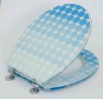 poly-resin toilet seat cover,RESIN toilet seat,tranparent toilet seat,sanitary