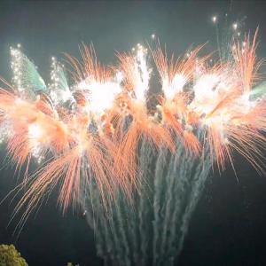 Quality Chinese Cake Fireworks Type Festival Celebration Pyrotechnics Outdoor Fireworks 2024 wholesale