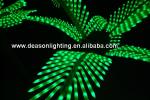 lighted palm trees