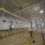 Modern H Beam Steel Structure Poultry House Long Span Steel Frame Farm Buildings