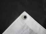 Plastic Coated PE Tarpaulin Roll With Eyelet , Vehicle Tarpaulin Covers