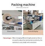 Russian Good Sale Bath Salt Making Press Molding Machine for Women Body Care