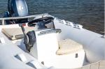 2022 new sea eagle inflatable boat 11ft rib330C black colors