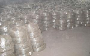 Quality 16 Gauge Electro Galvanized Wire wholesale