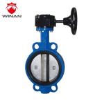 API598 FM UL Disc 300PSI Centerline Flange Butterfly Valve