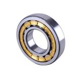 GCr15 Double Row SL014838 Cylindrical Roller Bearings