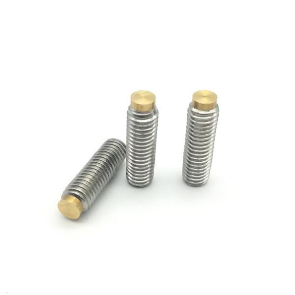 Cheap Long 304 Stainless Steel M2 Set Screws , GB Brass Tipped Grub Screws for sale
