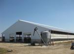 Economical Light Steel Structure Chicken House , Prefab Agricultural Buildings