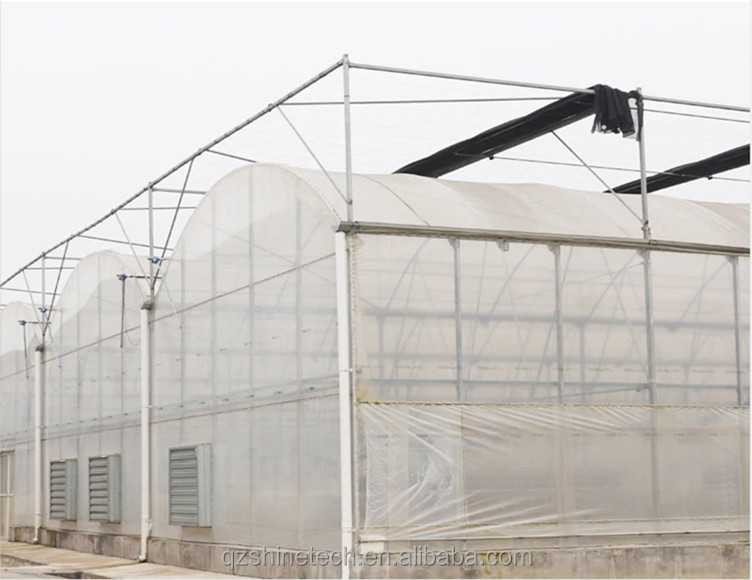 Multi Span Agricultural Greenhouses With PE Film Covering And Gutter Connection