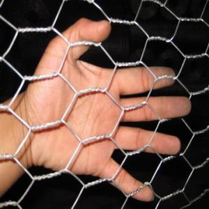 Quality Galvanized Hexagonal Wire Netting wholesale