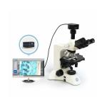 30° Tilted Three Eye Cylinder Upright Microscope B60