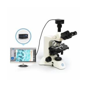 Quality 30° Tilted Three Eye Cylinder Upright Microscope B60 wholesale