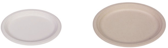 Disposable Tableware Biodegradable Sugarcane Bagasse Plates Refrigerator Wedding