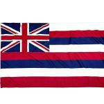 State of Hawaii Flag 3x5 ft Outdoor Dupont Heavy duty Nylon US Flags Brass
