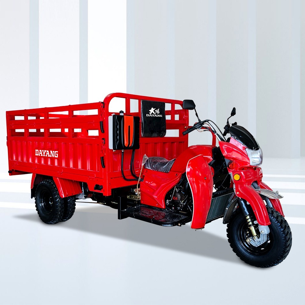 800W DAYANG Heavy Loading Truck Tricycle Three Wheel Cargo Motorized 201 250cc CCC ISO9000 Hydraulic Water Cooled 5.0-12