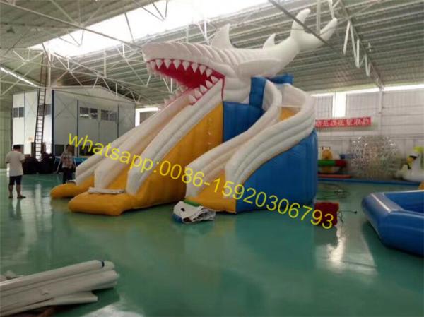 giant shark slide water